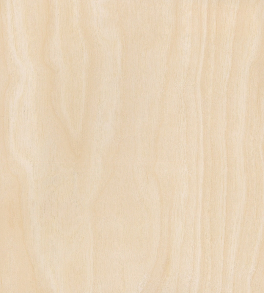 folha-de-madeira-natural-betula-desenrolada-aldecor