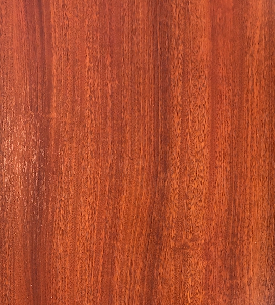 Melamina-Innovus-M532-MA