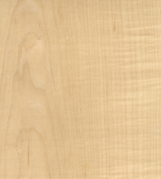 folha-de-madeira-natural-maple
